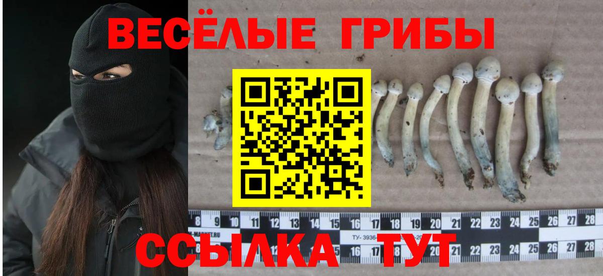 Псилоцибиновые грибы мухоморы Ачхой-Мартан